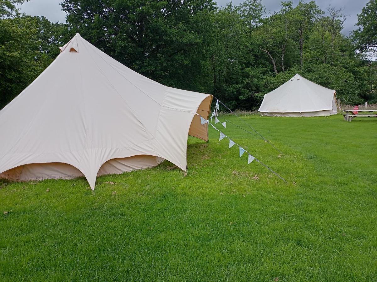 Oak Tree Farm 호텔 Llanfynydd 외부 사진